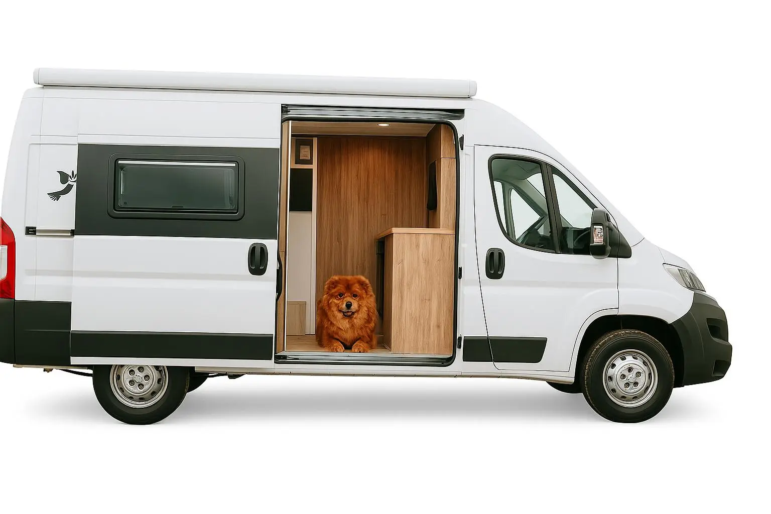 Furgoneta Fiat Ducato después